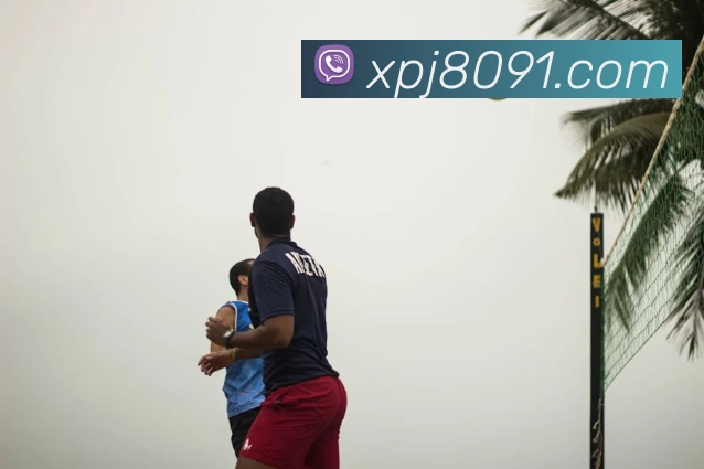 App Interface Preview