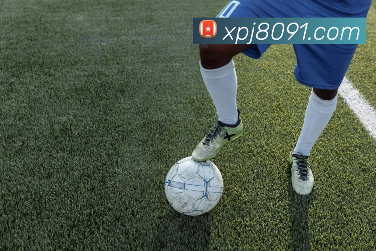 澳门新葡京网站入口APP 封面图